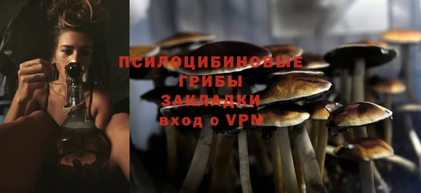 a pvp Кодинск