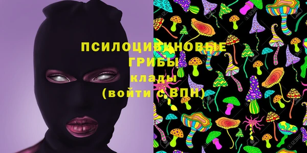a pvp Кодинск