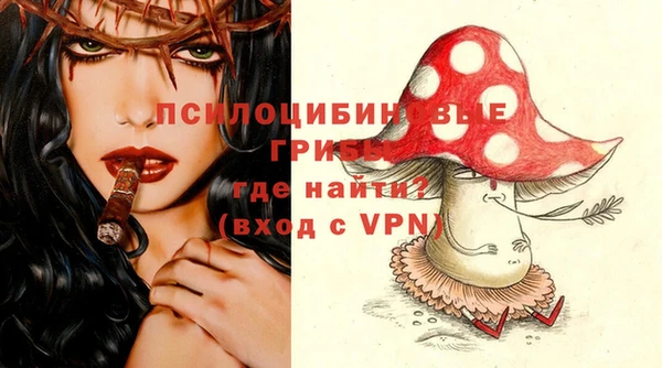 a pvp Кодинск